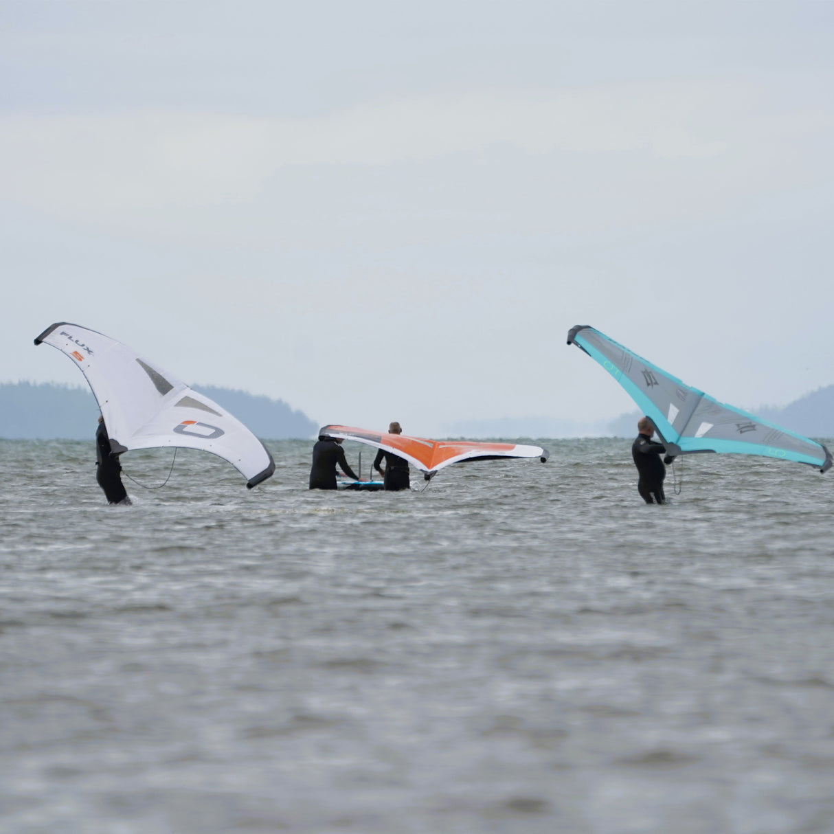 Beginner Wing Lesson Double Student - Introduction to Using a Wing