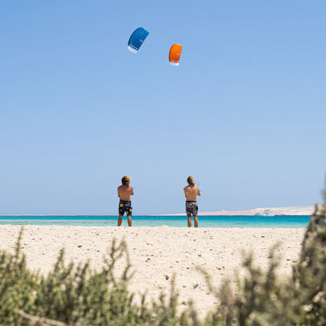 Everything You Need to Know About Trainer Kites