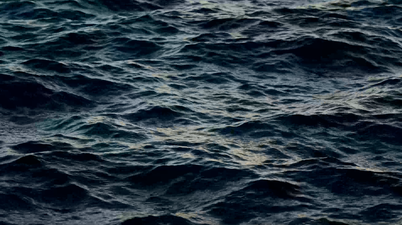 Black Friday Paddle Sale