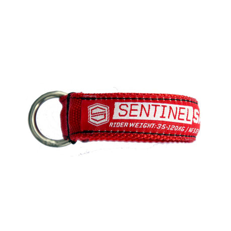 Slingshot 2019 Sentinel CSS Safety Loop