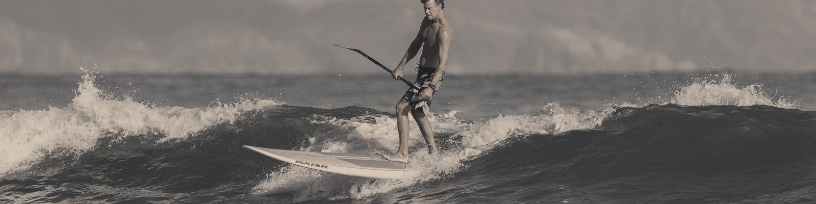 Paddle Landing Page Hero